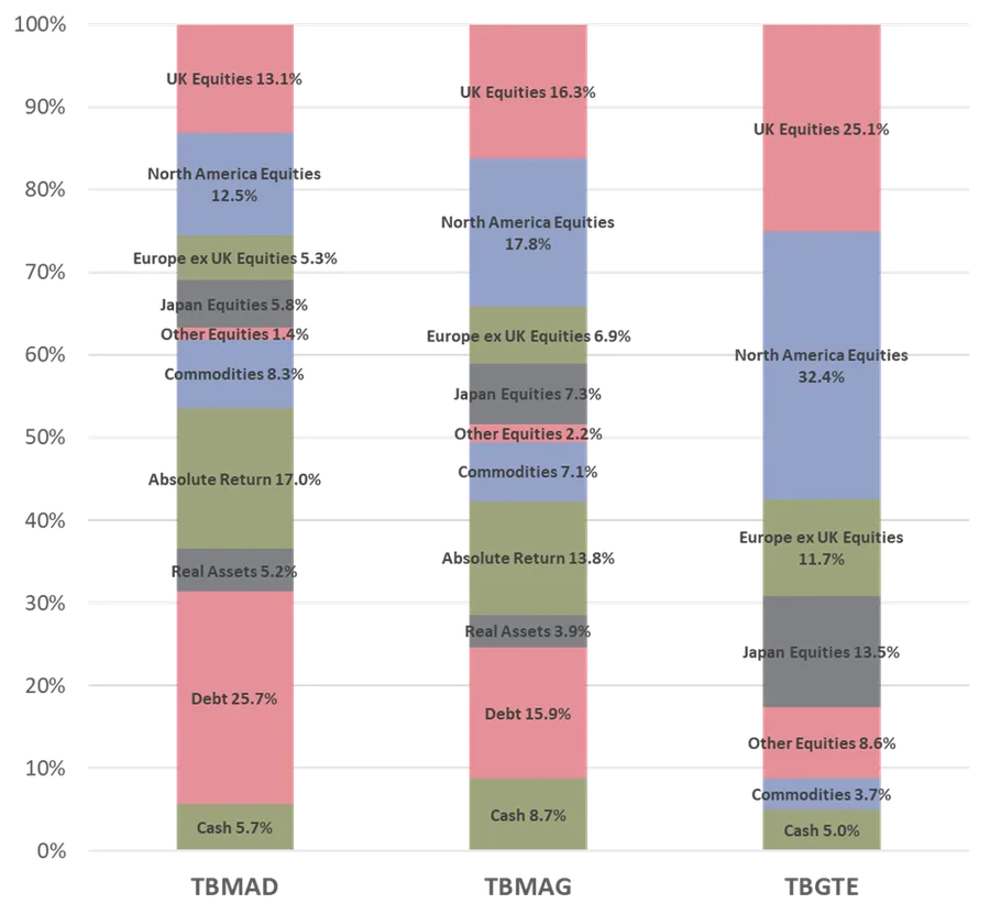Asset class bar chart of the T. Bailey Funds