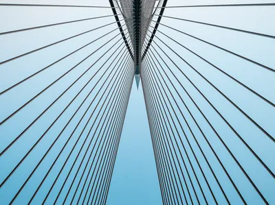 Suspension Bridge - Monthly