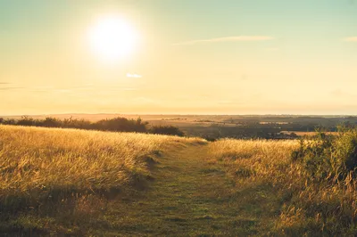 Summer Dusk Path - Quarterly - Q2